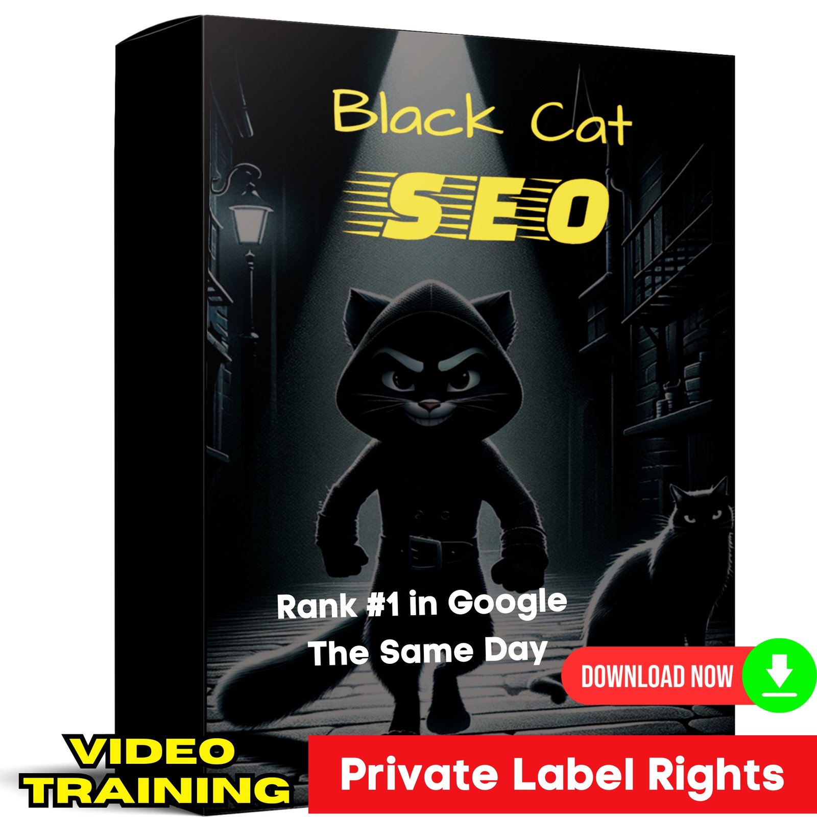 Black Cat SEO - PLR (Video Training)