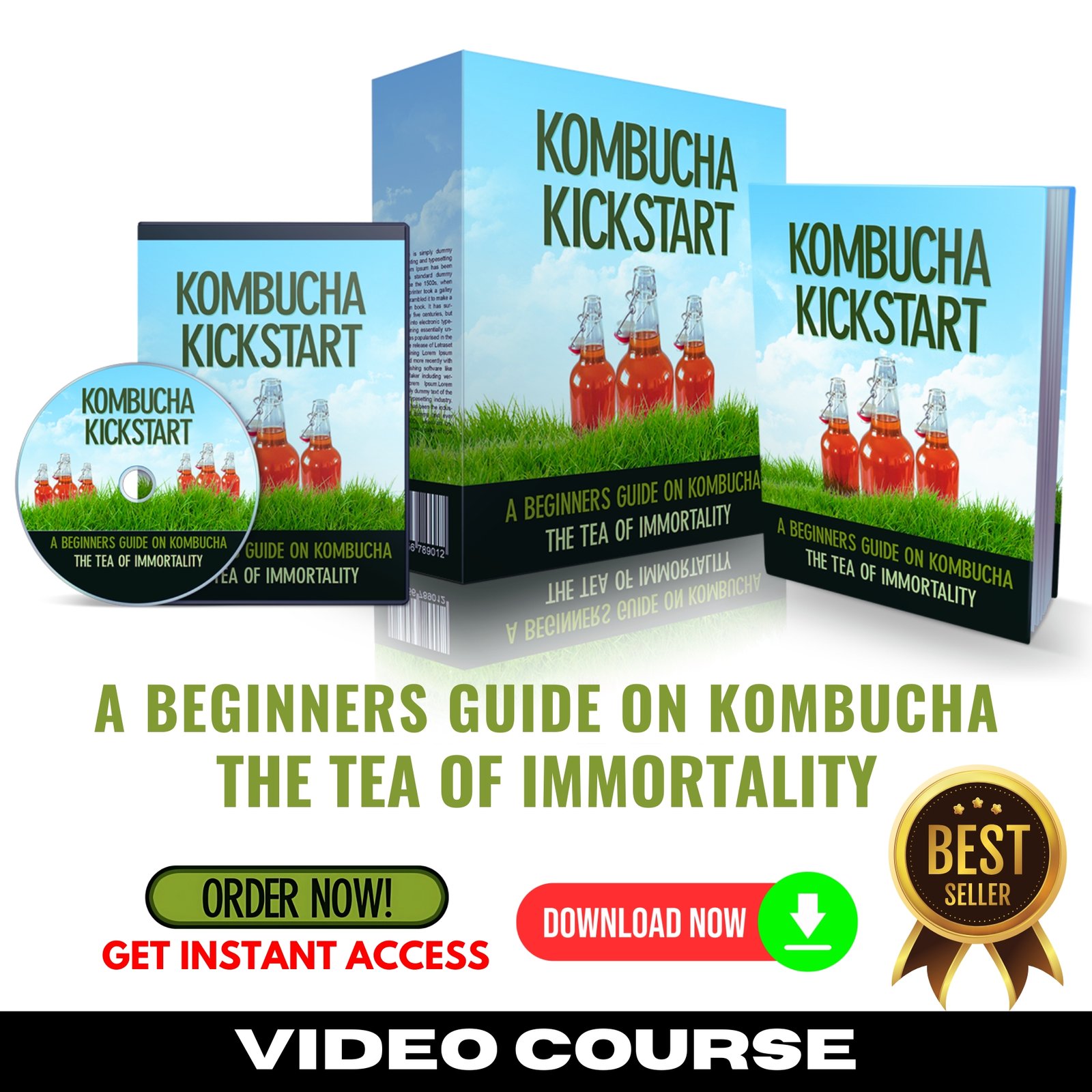 Kombucha Kickstart Upgrade Package (Video Course)